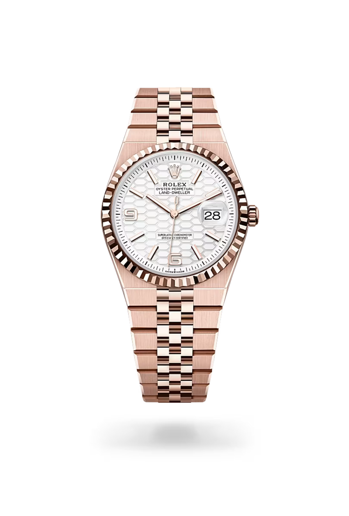 Land-Dweller 36 Modern Rose Luxe Timepiece