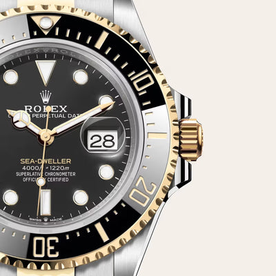 Imperial Two-Tone Deep Black Diver Watch
