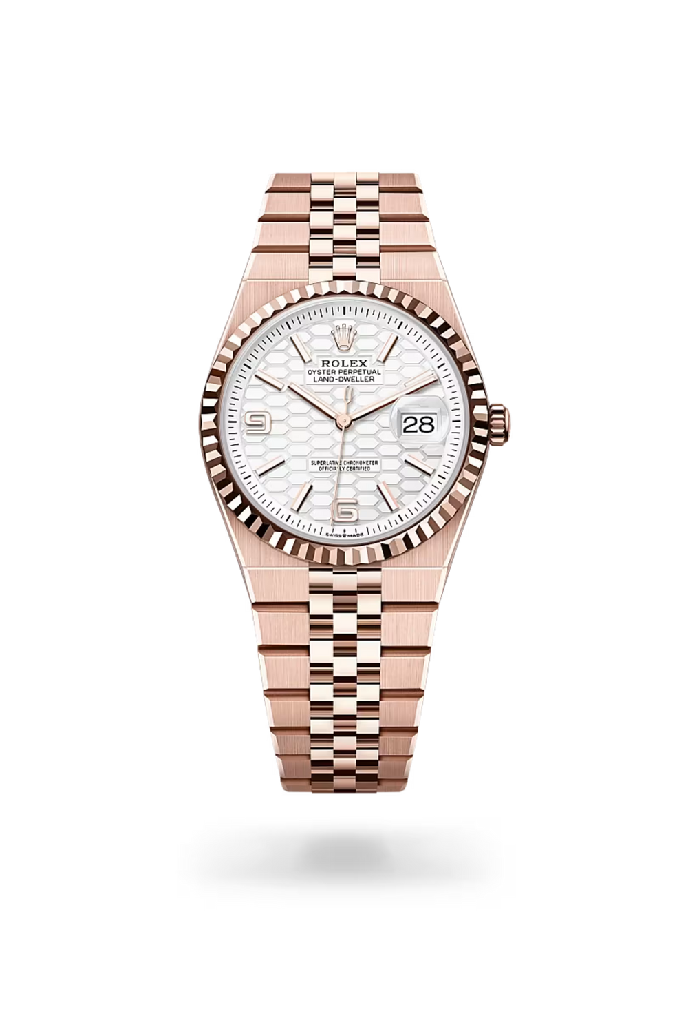 Land-Dweller 36 Modern Rose Luxe Timepiece
