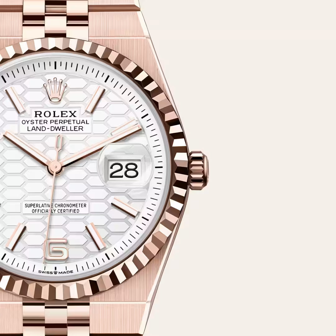 Land-Dweller 36 Modern Rose Luxe Timepiece