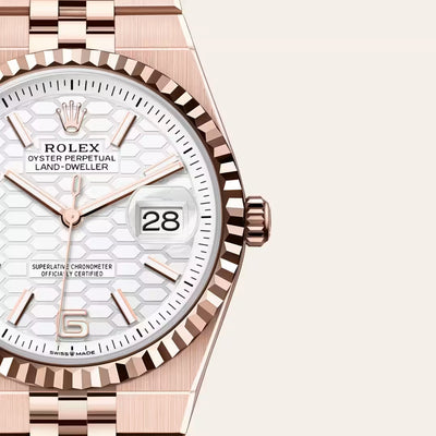 Land-Dweller 36 Modern Rose Luxe Timepiece