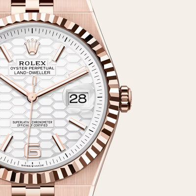 Land-Dweller 40 Everose Gold Classic White Dial Luxury Timepiece